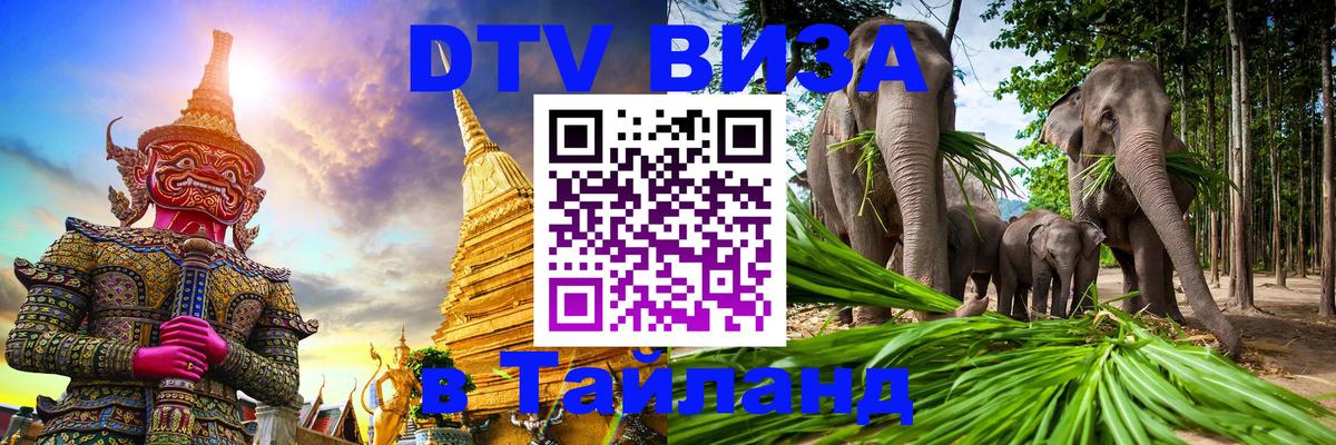 Оформление DTV визы под ключ: стоимость и тарифы, только загранпаспорт - 20.11.2025 